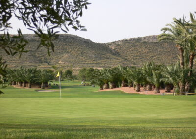 Campo_de_golf_El_Plantio.5